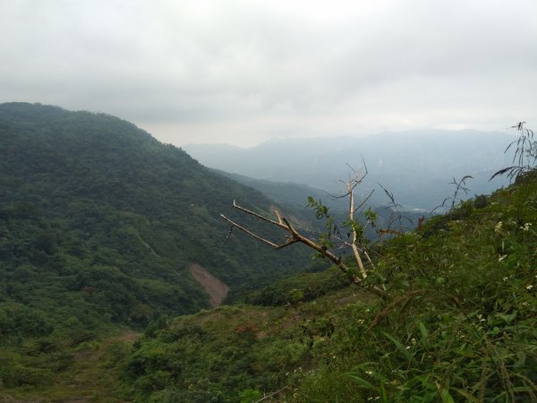 路途遙遠的西阿里關山