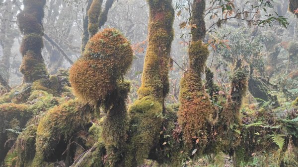 茶仁山單攻2025年4月4日2753332