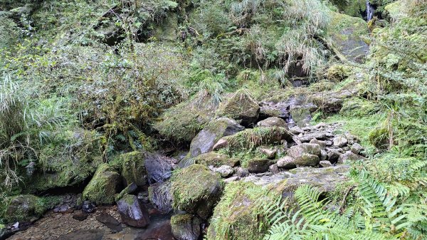 棲松縱走未竟2918395