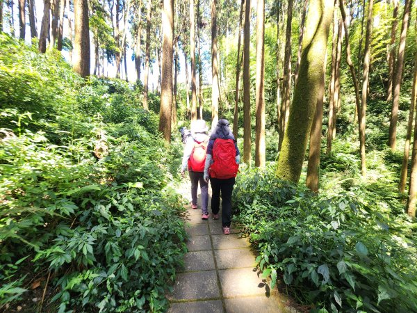 20251004雲頂之丘番子田山2927199