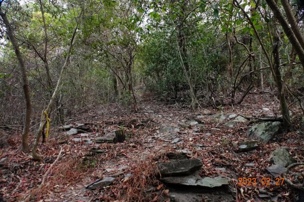 高雄 茂林 足母山2050098