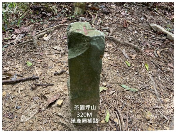 茶園坪山 O型路線