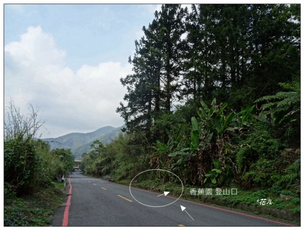 溪頭/鳳凰山步道2093506