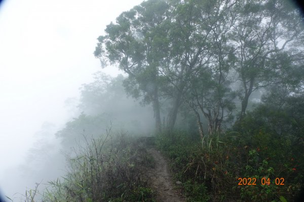 臺南 南化 刣牛湖山1664322