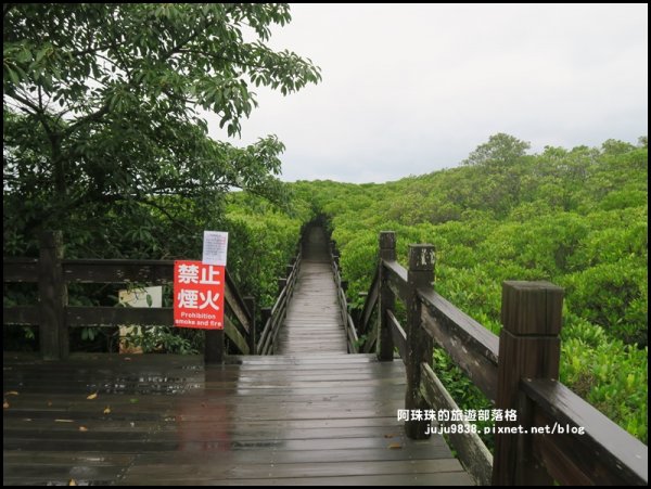 新豐紅樹林生態保護區642849
