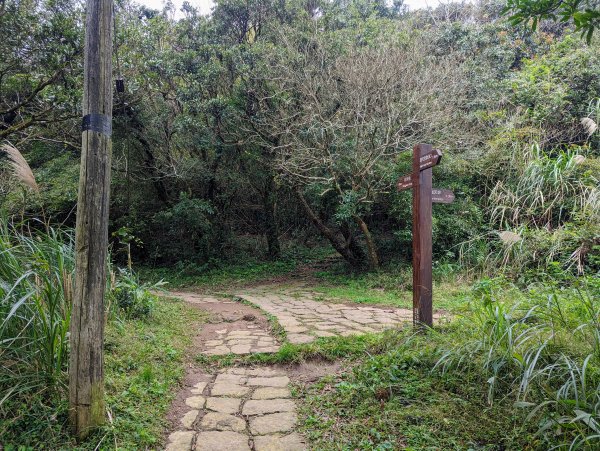 寒風中面天山、向天山及二子坪步道巡禮1565702