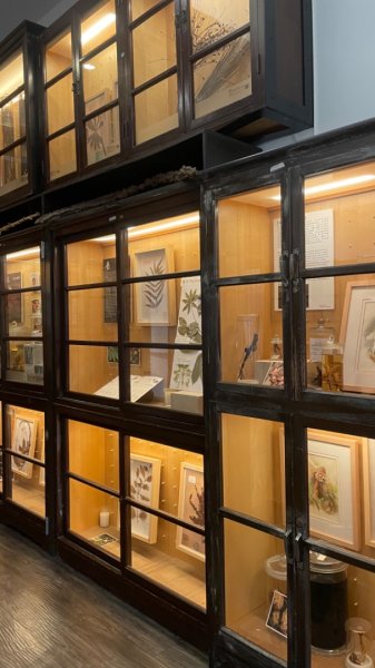 雨天備案💙 台灣博物館的古生代館-台大動植物館免費參觀-北投♨️季2807500