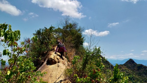 【旗金縱走】旗尾山→金字面山962604