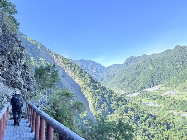 來去郡大坐龍貓公車順登對關山2822324