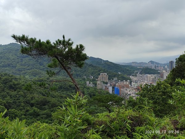 劍潭古寺→格物台→文間山→老地方→劍潭山【臺北大縱走 5】【臺北健走趣】2579465