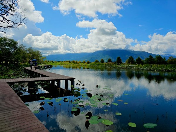 大坡池環潭步道-2025漫遊縱谷愛在花東-台東縣池上鄉2916640