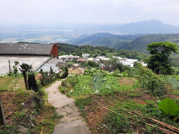 20230709 中正山縱走面天向天山，冰泰酥朵頤2211929