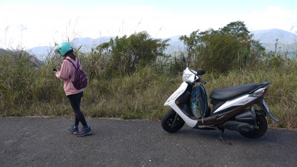 大白山登山健行趣(中級山)1649664