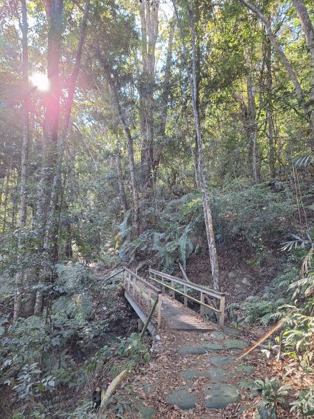 谷關蝴蝶谷瀑布202511202940794