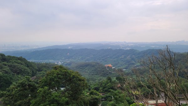 2020-0611觀音山硬漢嶺1066703