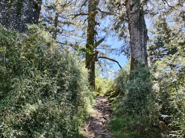 北一段(03/14)多加屯山 2025_0906~132885263