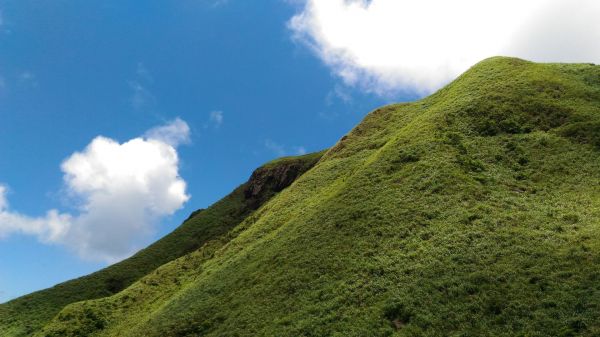 瑞芳無耳茶壺山，半平山386334