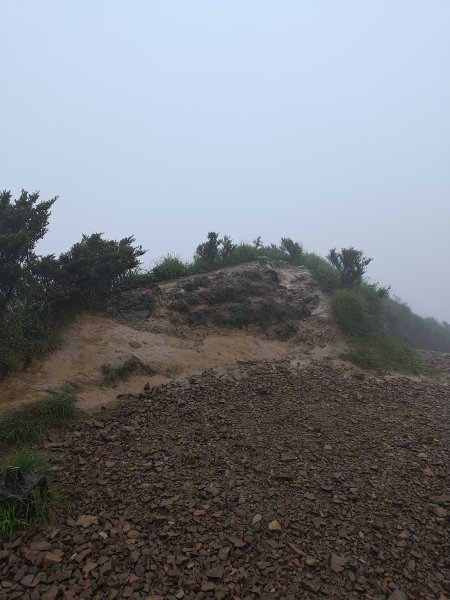 20260327茶壺山3024515