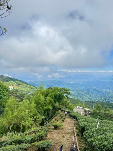 羊彎上武岫大崙山茶園尋山頭2824884