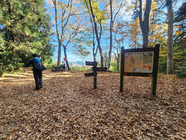 20251127陣馬山至高尾山2959092