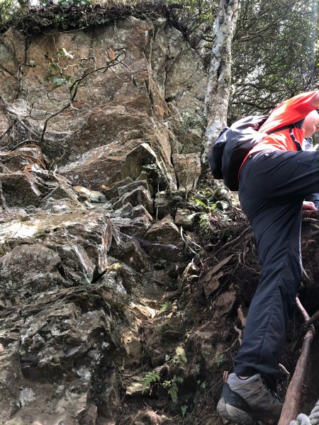 中級山-高島縱走2888438