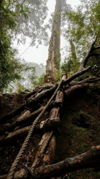 190928-奇萊北驚魂(米塔颱風)1650272