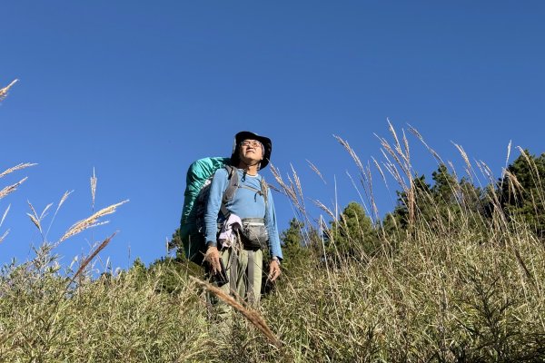 觀雲山莊經小完美谷上畢祿山O繞2917267