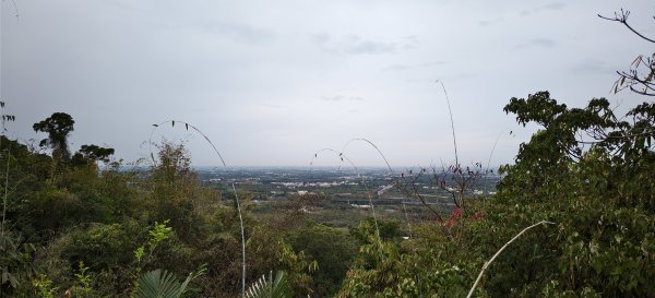 2026/02/27-荷苞山登山步道3010036