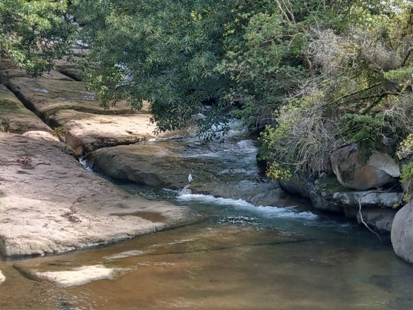 風櫃口步道1453865