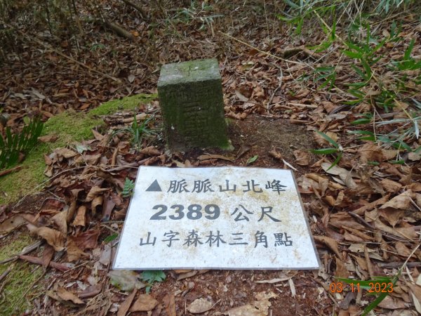 東草山脈脈山稜線縱走2065082