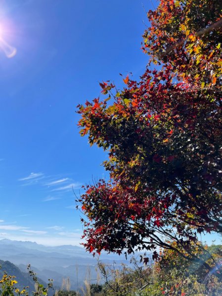 馬那邦山賞楓趣1549588