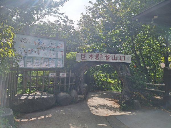 司馬庫斯神木步道順遊司立富瀑布11508023116727