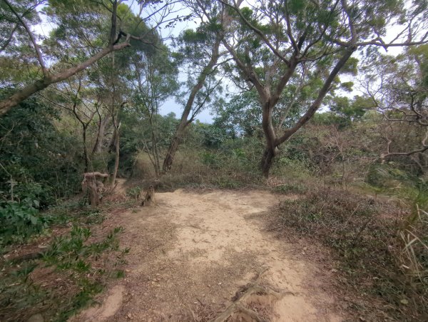 2026.02.08－十八尖山2999393