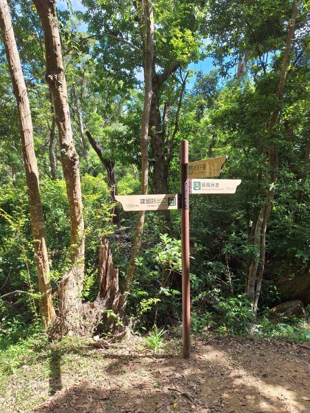 南澳朝陽步道小O202508312876504