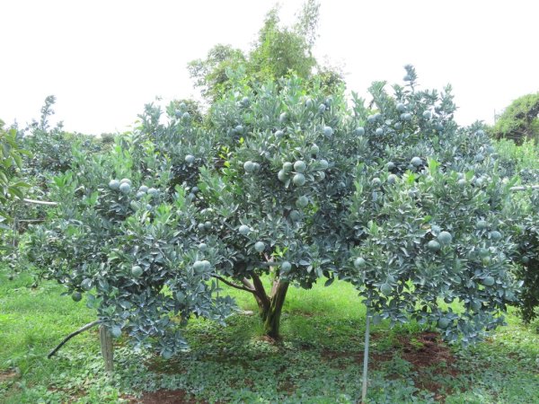 旱溪源頭自然生態區2878008