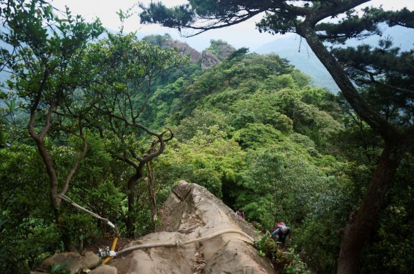 五寮尖登山步道1383228