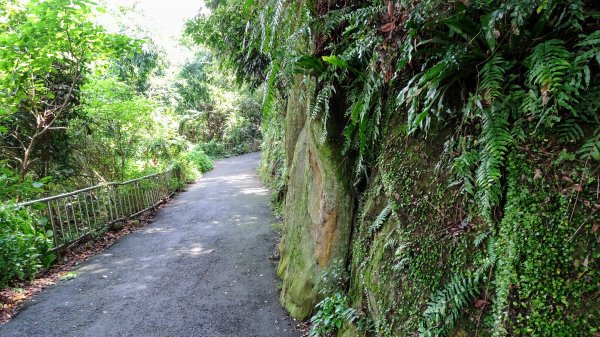 婆婆橋步道,燕溪古道1068447