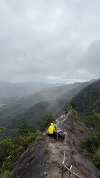 迎新（2026元旦2975595