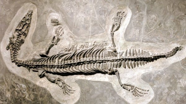 琴弦上的白宮2987581