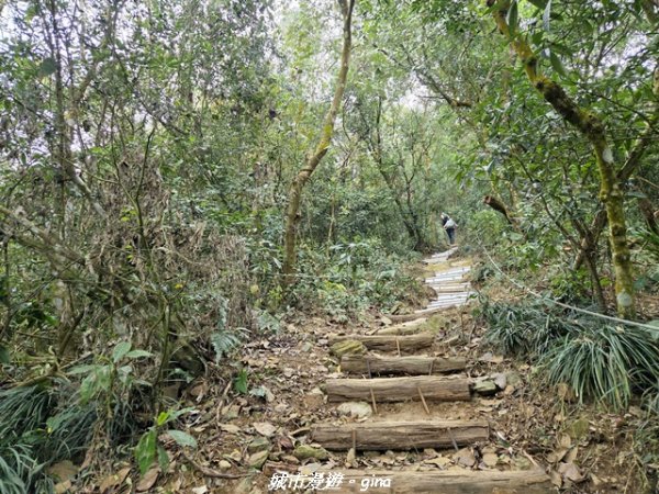 【屏東來義】小百岳棚集山x棚集下山O 繞