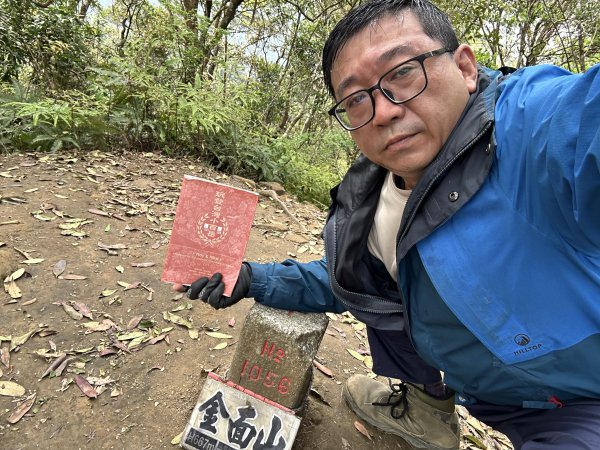 桃園金面山2752288