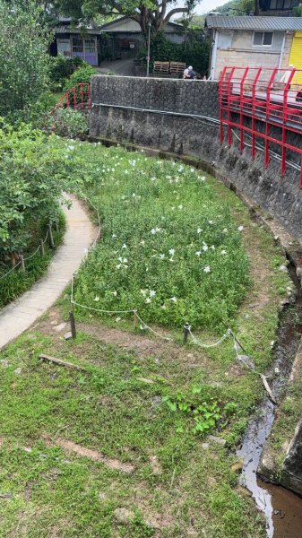 2026台北大縱走第四段3077452