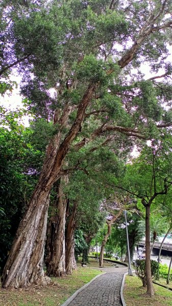 美麗的劍潭、渾然天成的猴洞巨岩和湖山磺溪1320176