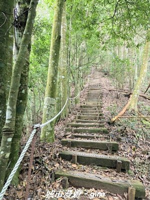 【台中和平】橫嶺山自然步道_木馬古道3095021