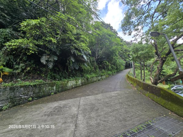 2026-05-01鳥嘴山(上島山)步道3046804
