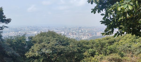 福源山步道2730320