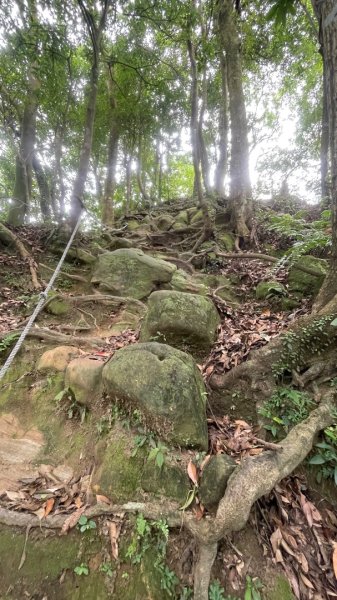 微笑山⛰️線-大棟-二格山-五分山-天上山-鳶山💎12條步道完成💙2834168