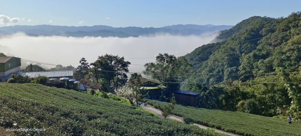 石碇趴趴走追雲趣-星空夜景/曙光日出雲海&差強人意流瀑/霧虹&月亮山櫻花&茶園梅花2415502