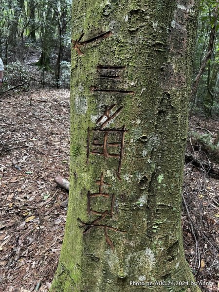 民都有山就是漂亮的夏天冷氣房2582229