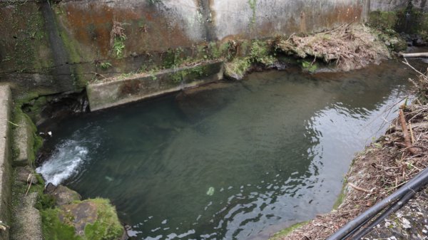 獵貍尖步道連走烏塗溪步道登山健行趣(淡蘭南路TK3-6&TK3-5&TK3-4)2404536